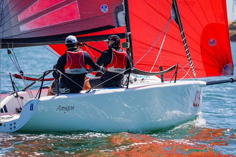Amigos looking for a downwind advantage - Festival of Sails photo copyright Salty Dingo taken at Royal Geelong Yacht Club and featuring the Melges 24 class
