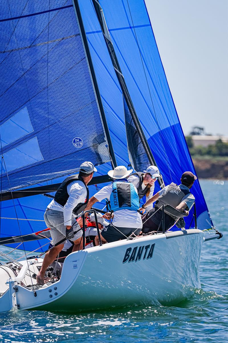 The Banta crew are all business - Festival of Sails photo copyright Salty Dingo taken at Royal Geelong Yacht Club and featuring the Melges 24 class