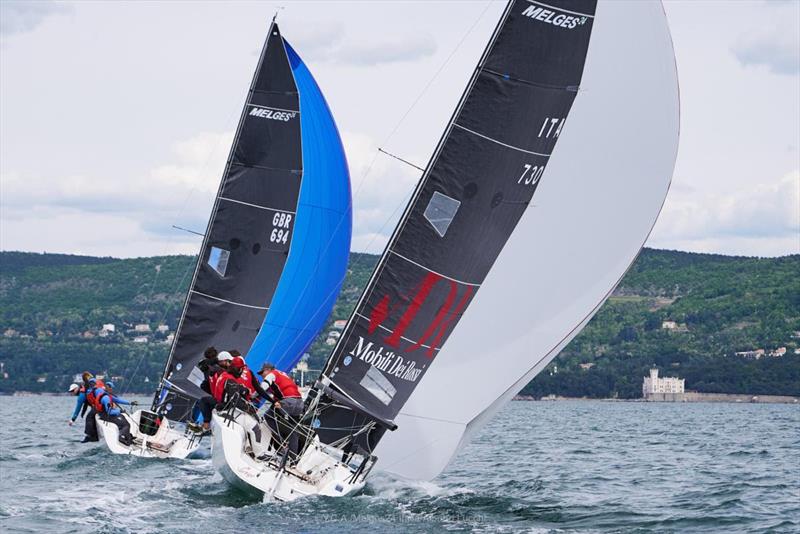 Zhik Race Team (GBR694) of Miles Quinton, steered by Geoff Carveth - Melges 24 European Sailing Series 2024 in Trieste, Italy photo copyright YCA / ITA M24 Class / Alberto Lucchi taken at Yacht Club Adriaco and featuring the Melges 24 class
