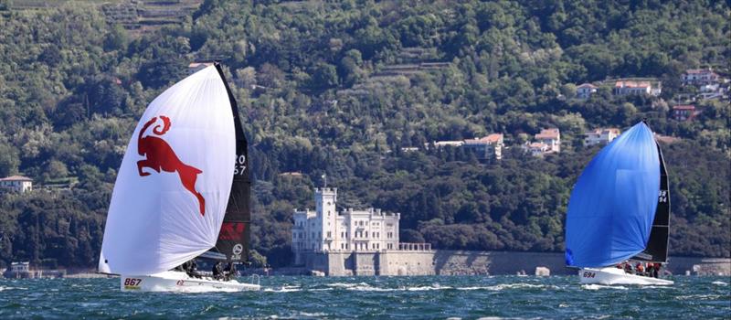 The Melges 24s racing in front of the Miramare Castle (Castello di Miramare) - photo © YCA / Giovanni Tesei