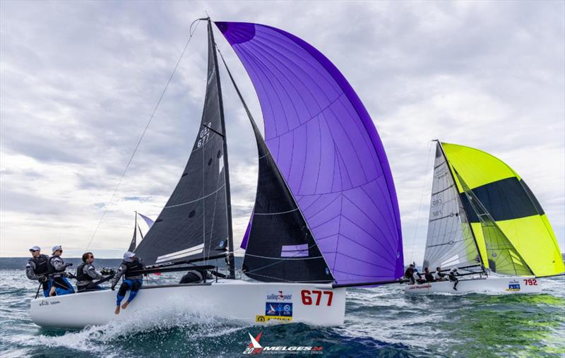 Michael Tarabochia's White Room GER677 - Melges 24 European Championship 2024 Split, CRO - photo © IM24CA / Zerogradinord