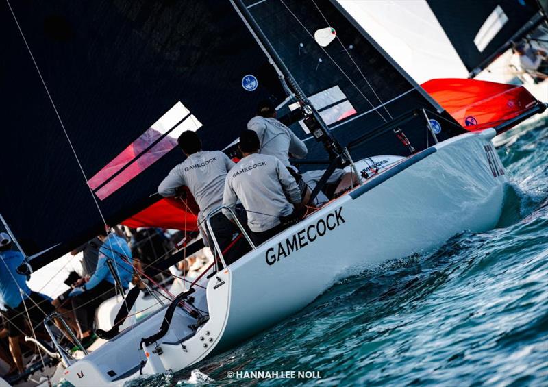 GAMECOCK USA871 by Peter McClennen - 2025 Melges 24 North American Sailing Series' Champion - Melges 24 North American Championship 2025, Bacardi Winter Series 2026 Event No 1 - Miami, FL, USA photo copyright Hannah Lee Noll taken at  and featuring the Melges 24 class