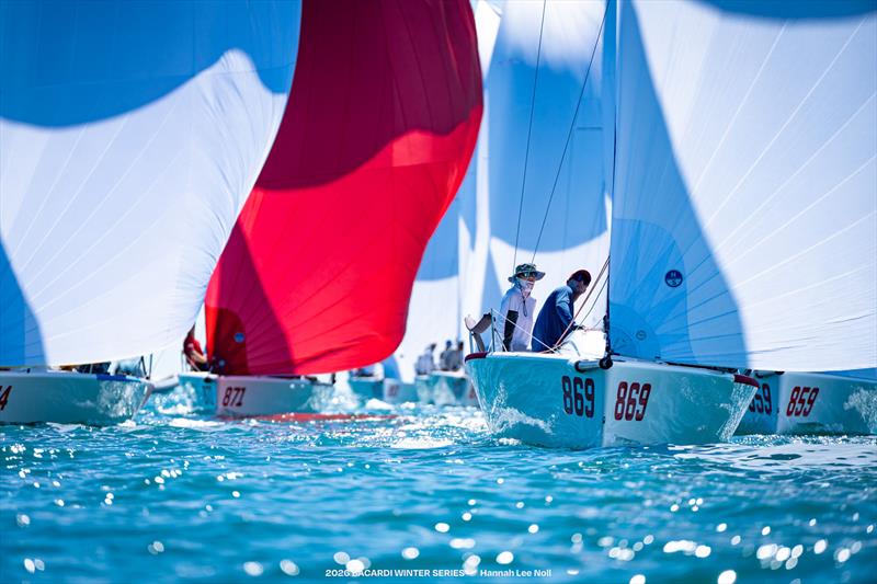 Sandy Askew's Flying Jenny leads the Melges 24 fleet downwind - Bacardi Winter Series Event No.2 photo copyright Hannah Lee Noll taken at Shake-A-Leg Miami and featuring the Melges 24 class