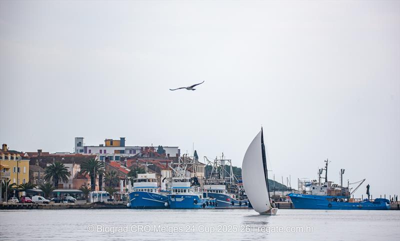 CRO M24 Cup Biograd 2026 - photo © regate.com.hr