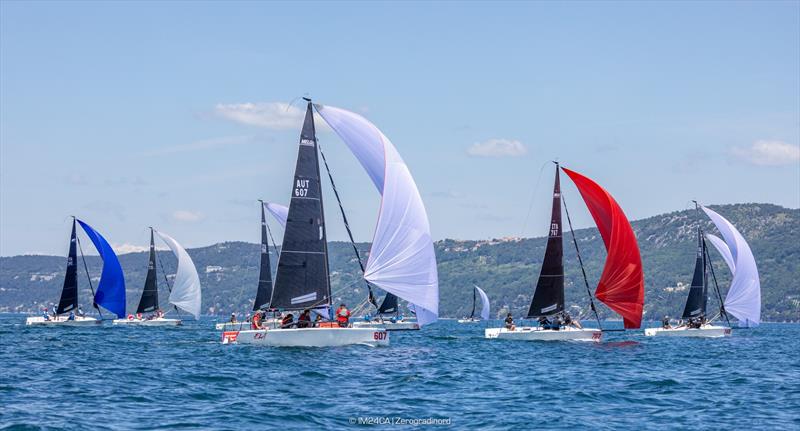 Melges 24 European Sailing Series 2026 - Coppa Tito Nordio, Trieste, Italy - photo © IM24CA | Zerogradinord