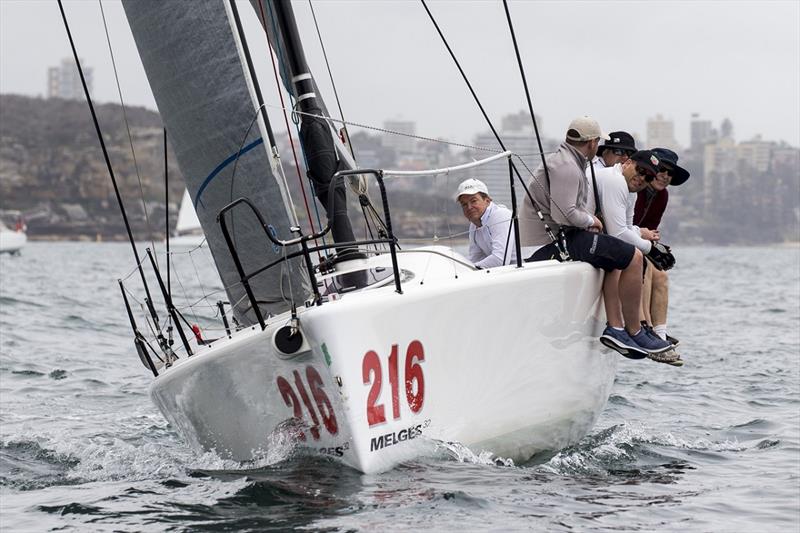 Melges 32, Farr 30 and Flying Tigers will race in the Super 30 Group photo copyright Andrea Francolini taken at Middle Harbour Yacht Club and featuring the Melges 32 class