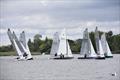 Merlin Rocket Craftinsure Silver Tiller at Waveney & Oulton Broad