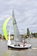 Merlin Rocket Craftinsure Silver Tiller at Waveney & Oulton Broad