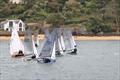 Merlin Rocket Craftinsure Silver Tiller finale at Salcombe © Lucy Burn