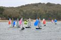 Merlin Rocket Craftinsure Silver Tiller finale at Salcombe © Lucy Burn