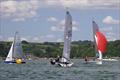 Helly Hansen Merlin Rocket Salcombe Week - Wednesday racing