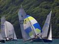 Helly Hansen Merlin Rocket Salcombe Week - Wednesday racing