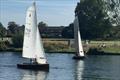 Merlin Rocket De May and Thames Series at Hampton &copy; Nicky Pacge