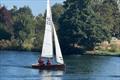Merlin Rocket De May and Thames Series at Hampton &copy; Nicky Pacge
