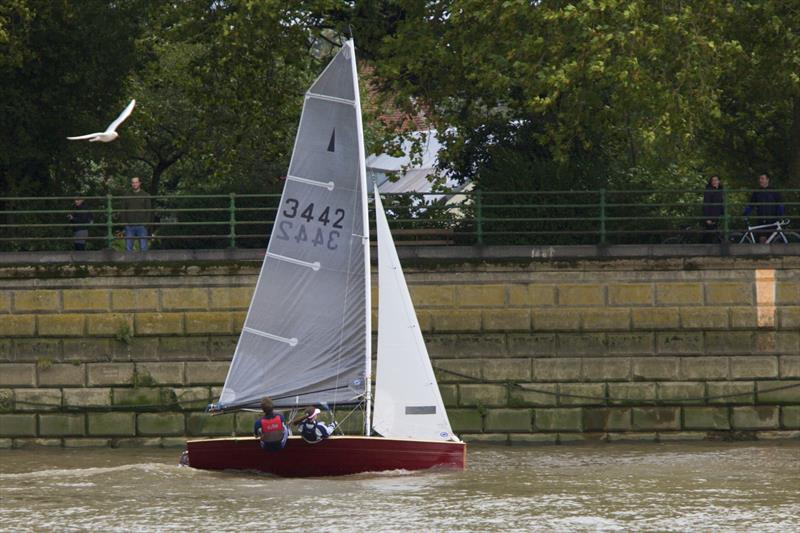 Final Thames Series meeting of 2013 at Ranelagh photo copyright Peter Wilson taken at Ranelagh Sailing Club and featuring the Merlin Rocket class