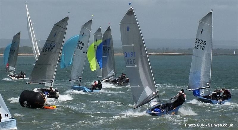 Merlins at Hayling - photo © Gerald New