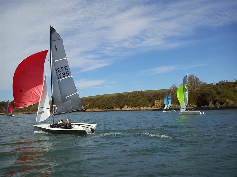 Salcombe Merlin Rocket Open photo copyright Dan Bridger taken at Salcombe Yacht Club and featuring the Merlin Rocket class