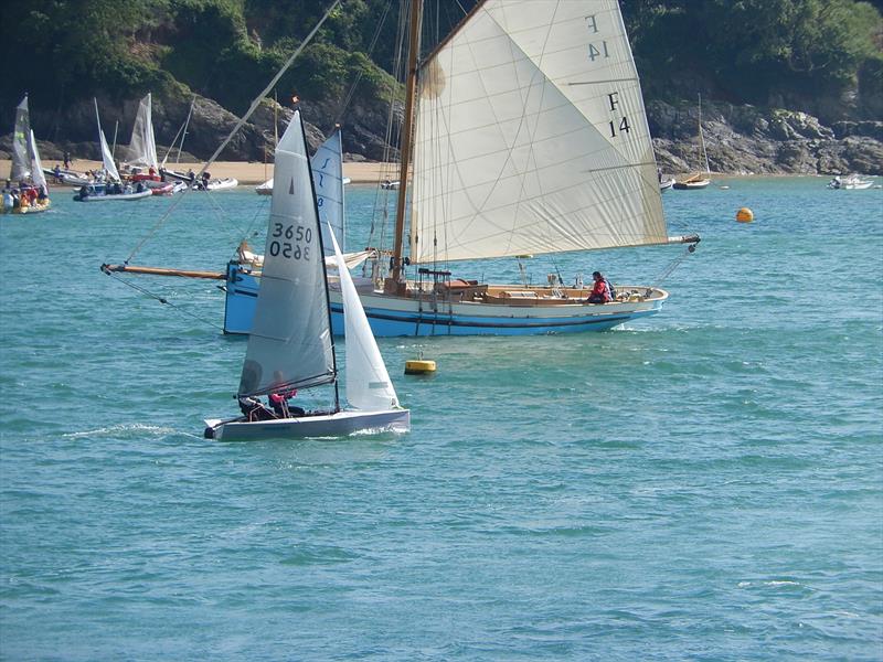 Sharps Doom Bar Merlin Week day 2 photo copyright Margaret Mackley taken at Salcombe Yacht Club and featuring the Merlin Rocket class