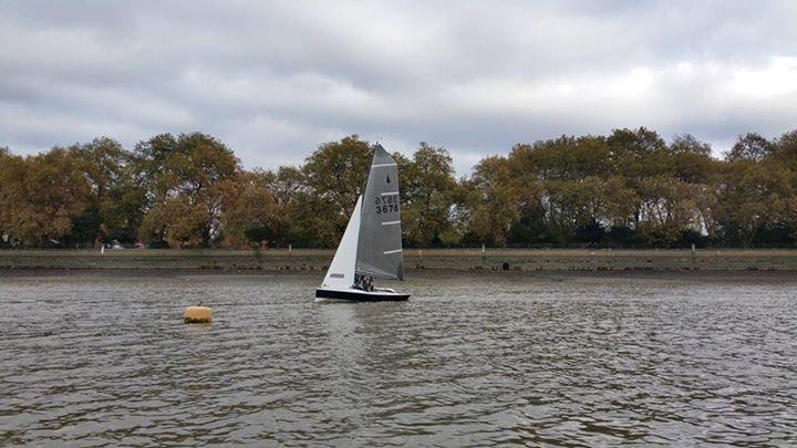 Merlin Rockets at Ranelagh photo copyright Andy Johnstone taken at Ranelagh Sailing Club and featuring the Merlin Rocket class