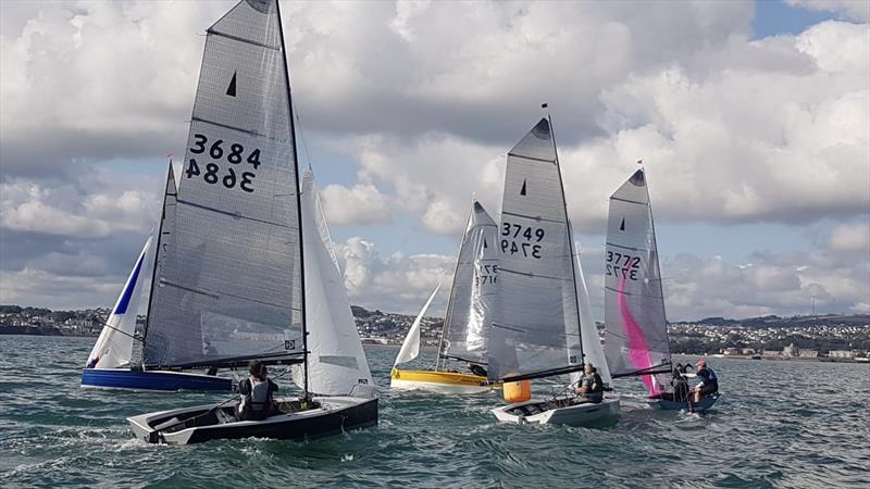 Merlin Rocket Craftinsure Silver Tiller Series at Paignton photo copyright Andy Probert  taken at Paignton Sailing Club and featuring the Merlin Rocket class