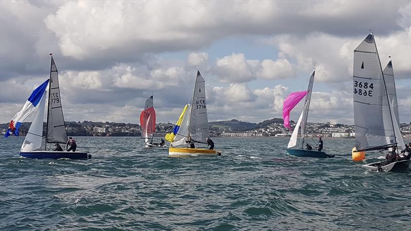 Merlin Rocket Craftinsure Silver Tiller Series at Paignton photo copyright Andy Probert  taken at Paignton Sailing Club and featuring the Merlin Rocket class