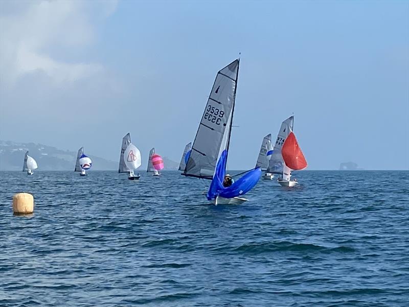 Merlin Rocket Craftinsure Silver Tiller Series at Paignton - photo © Andy Probert 