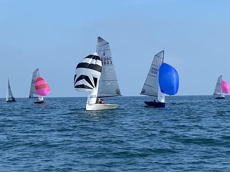 Merlin Rocket Craftinsure Silver Tiller Series at Paignton photo copyright Andy Probert  taken at Paignton Sailing Club and featuring the Merlin Rocket class