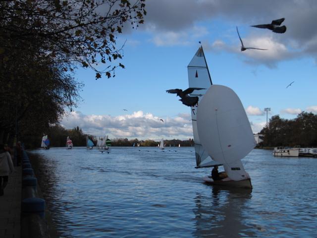 RTYC Merlin Rocket Autumn Trophy at Ranelagh photo copyright Neil Fairplay taken at Ranelagh Sailing Club and featuring the Merlin Rocket class