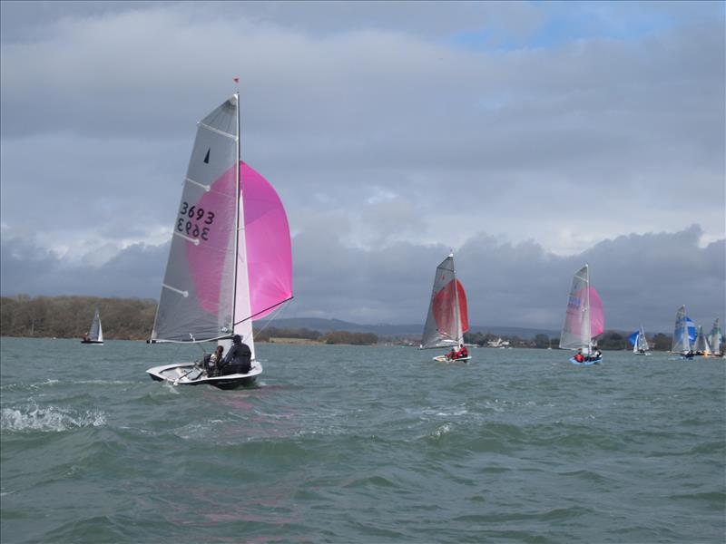 Merlin Rocket Silver Tiller open at Chichester photo copyright Chris Hodge taken at Chichester Yacht Club and featuring the Merlin Rocket class