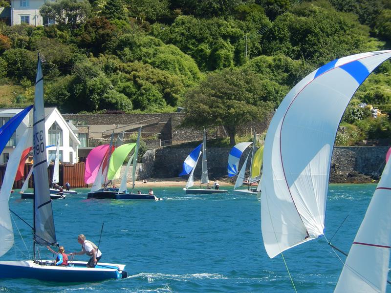 Salcombe Gin Merlin Rocket Week 2019 day 5 afternoon race photo copyright Malcolm Mackley taken at Salcombe Yacht Club and featuring the Merlin Rocket class
