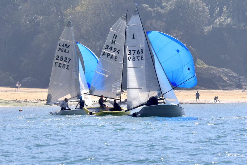 Salcombe YC Sailing Club Series Race 1 photo copyright Lucy Burn taken at Salcombe Yacht Club and featuring the Merlin Rocket class