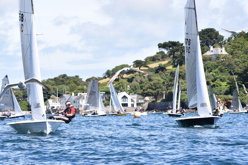 You don't need a drone to get a bird's eye (or even a gull's eye) view of the sailing at Salcombe - photo © Dougal Henshall