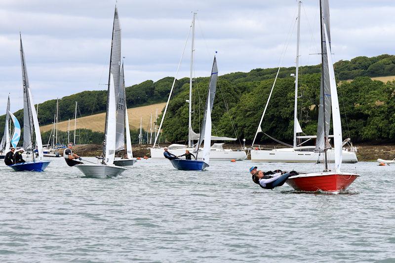 Salcombe Gin Merlin Rocket Week Day 2 photo copyright Lucy Burn taken at Salcombe Yacht Club and featuring the Merlin Rocket class