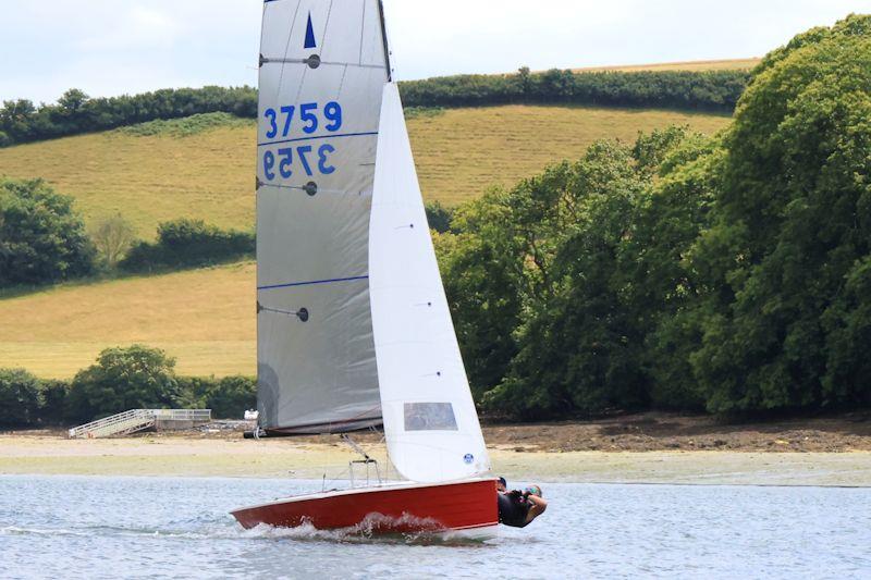 Salcombe Gin Merlin Rocket Week Day 3 photo copyright Lucy Burn taken at Salcombe Yacht Club and featuring the Merlin Rocket class