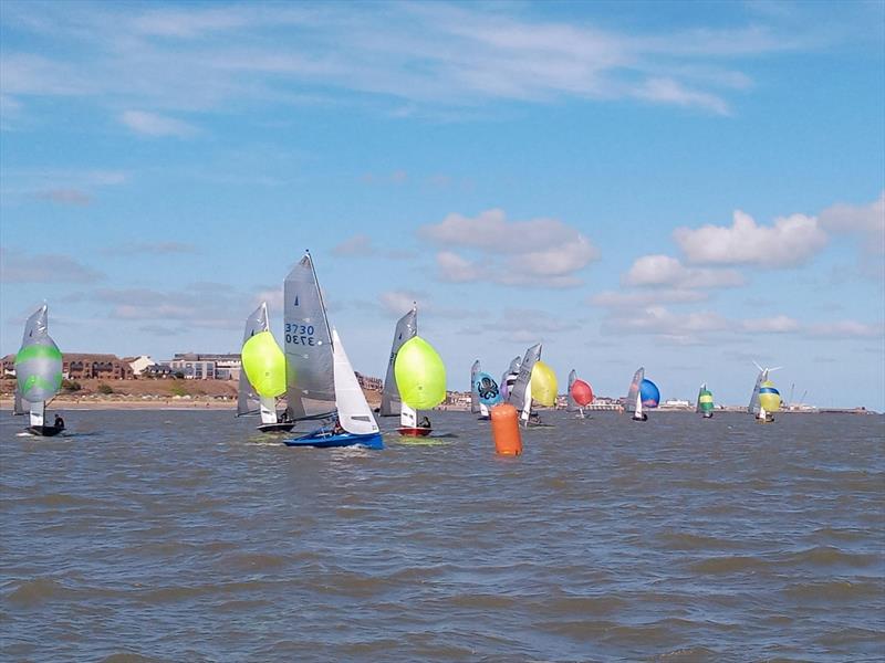 Merlin Rocket Craftinsure Silver Tiller at the Royal Norfolk & Suffolk Yacht Club Newcombe Cup photo copyright Jenny Riley taken at Royal Norfolk & Suffolk Yacht Club and featuring the Merlin Rocket class