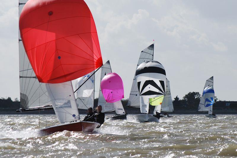 Craftinsure Silver Tiller for Merlin Rockets at Stone photo copyright Alice Crick taken at Stone Sailing Club and featuring the Merlin Rocket class