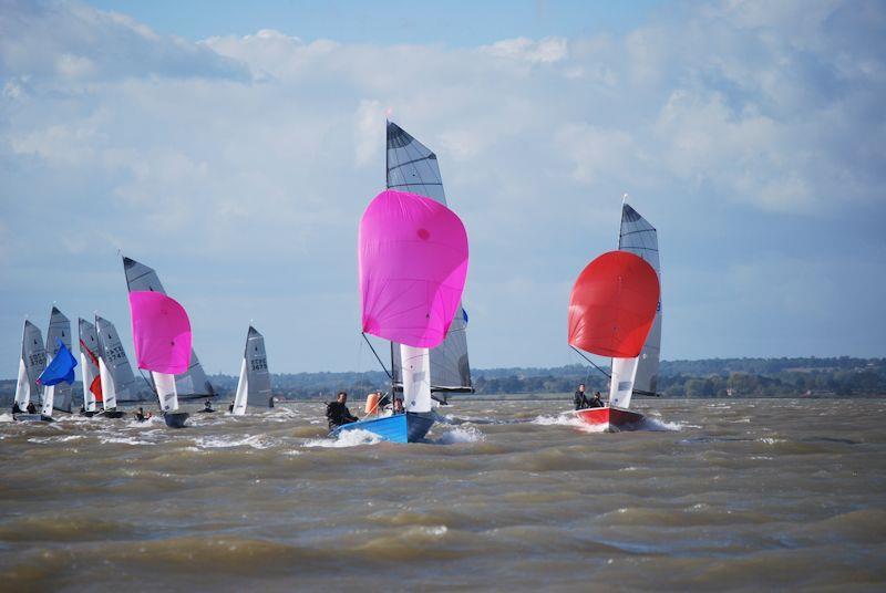 Craftinsure Silver Tiller for Merlin Rockets at Stone photo copyright Alice Crick taken at Stone Sailing Club and featuring the Merlin Rocket class