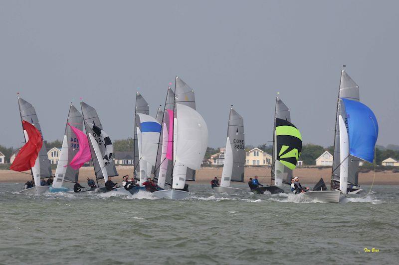 Craftinsure Silver Tiller Merlin Rocket open meeting at Brightlingsea photo copyright Tim Bees taken at Brightlingsea Sailing Club and featuring the Merlin Rocket class