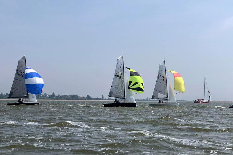 Merlin Rocket Allen SE Series at Brightlingsea photo copyright Jane Somerville taken at Brightlingsea Sailing Club and featuring the Merlin Rocket class