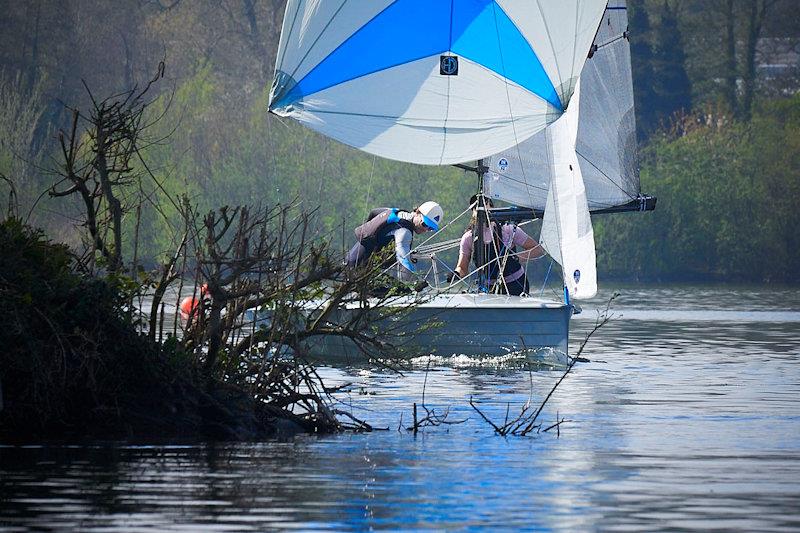 Mark Stockbrige and Charlie Cotter appearing behind the tree - Merlin Rocket Allen South East Series at Broadwater - photo © Rob O'Neill