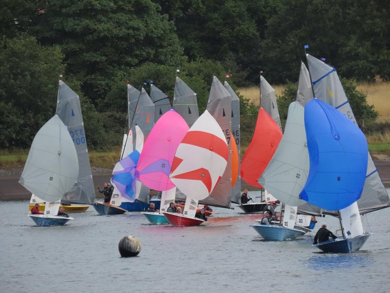 Bartley Merlin Rocket Craftinsure Silver Tiller, HD Sails Midland Circuit, Classis Series and Youth Championship photo copyright Andrea Hardiman taken at Bartley Sailing Club and featuring the Merlin Rocket class