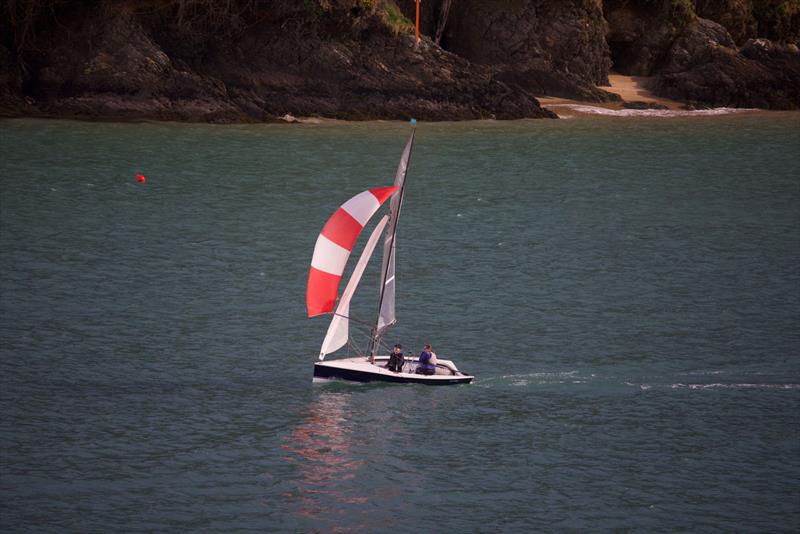 Salcombe Yacht Club Spring Series Race 2 photo copyright Lucy Burn taken at Salcombe Yacht Club and featuring the Merlin Rocket class
