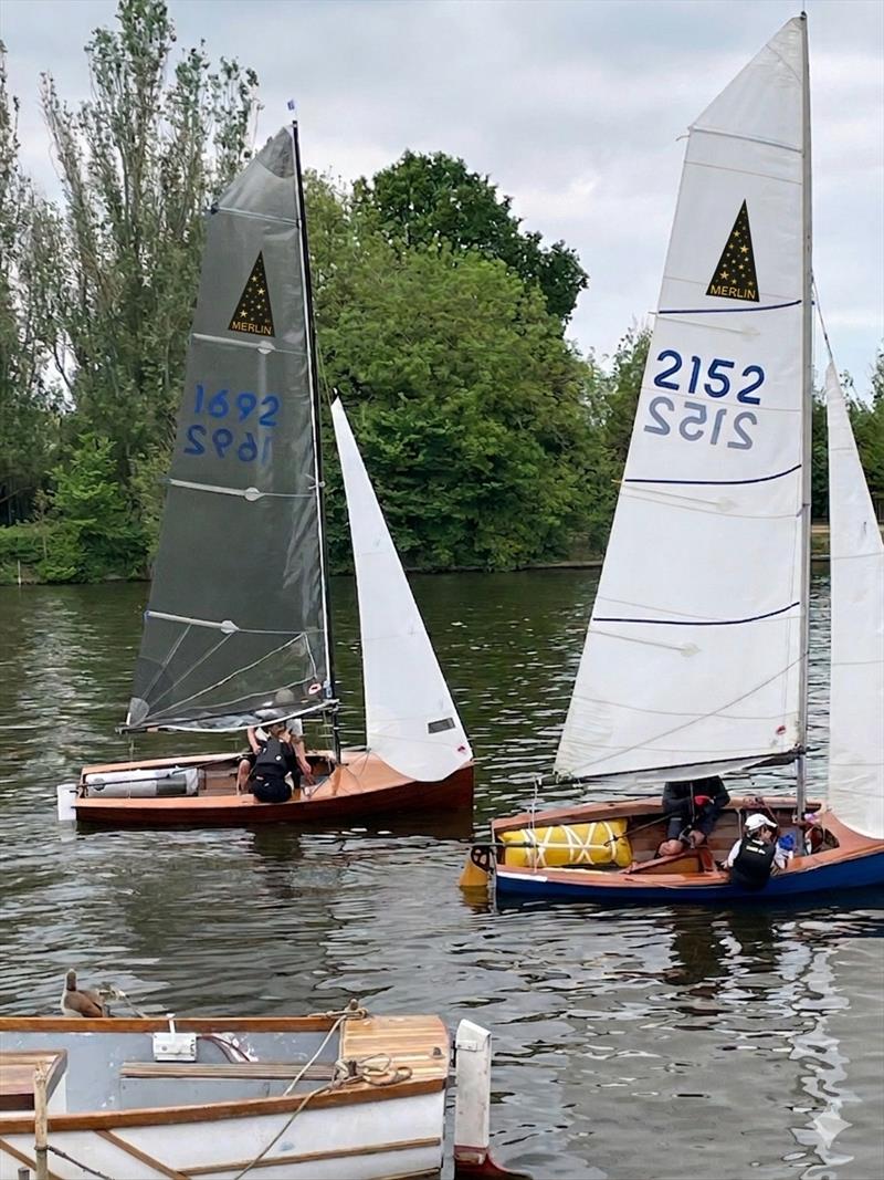 Merlins racing on a river - photo © TSC