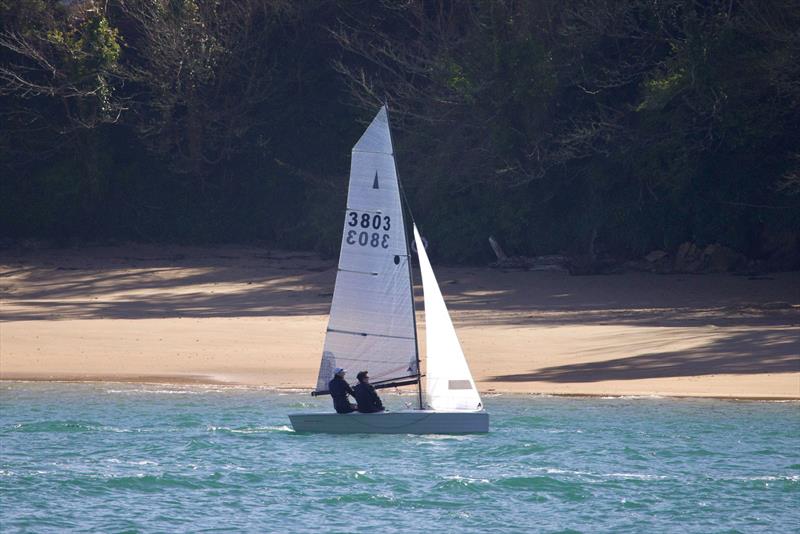 Craftinsure Silver Tiller and Allspars South West Series at Salcombe - photo © Lucy Burn