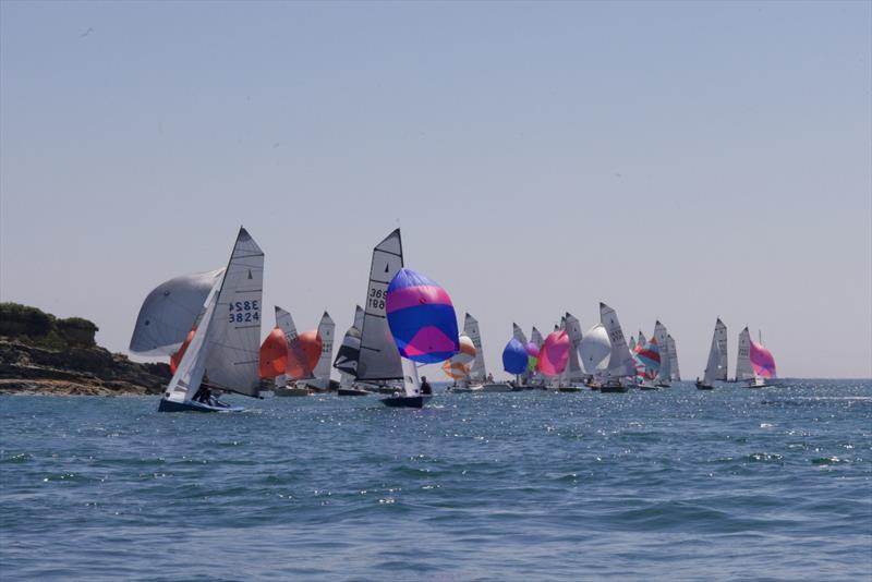 Helly Hansen Merlin Rocket Week at Salcombe Yacht Club Day 4 Afternoon Race photo copyright Lucy Burn taken at Salcombe Yacht Club and featuring the Merlin Rocket class