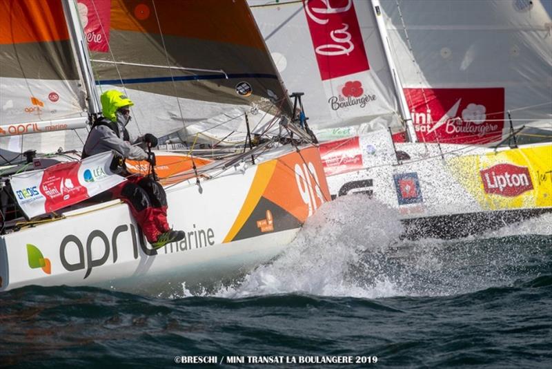 Mini-Transat La Boulangère 2019 photo copyright Christophe Breschi / Mini-Transat La Boulangère 2019 taken at  and featuring the Mini Transat class