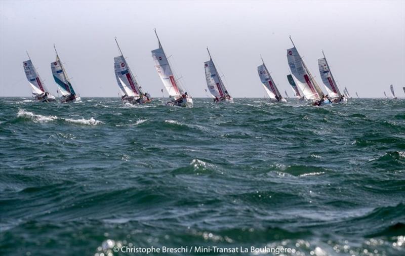 Mini-Transat La Boulangère fleet - photo © Christophe Breschi / Mini-Transat La Boulangère