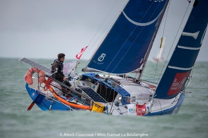 2019 Mini-Transat La Boulangère, Day 7 photo copyright Alexis Courcoux / Mini-Transat La Boulangère taken at  and featuring the Mini Transat class