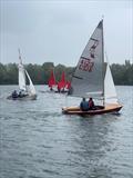 Miracle Southern Area Championship at Whitefriars © David Evans