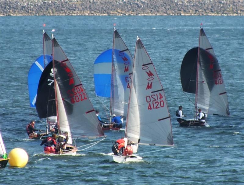 Miracle Nationals 2021 at Rutland day 4 photo copyright Jaq Donaldson taken at Rutland Sailing Club and featuring the Miracle class